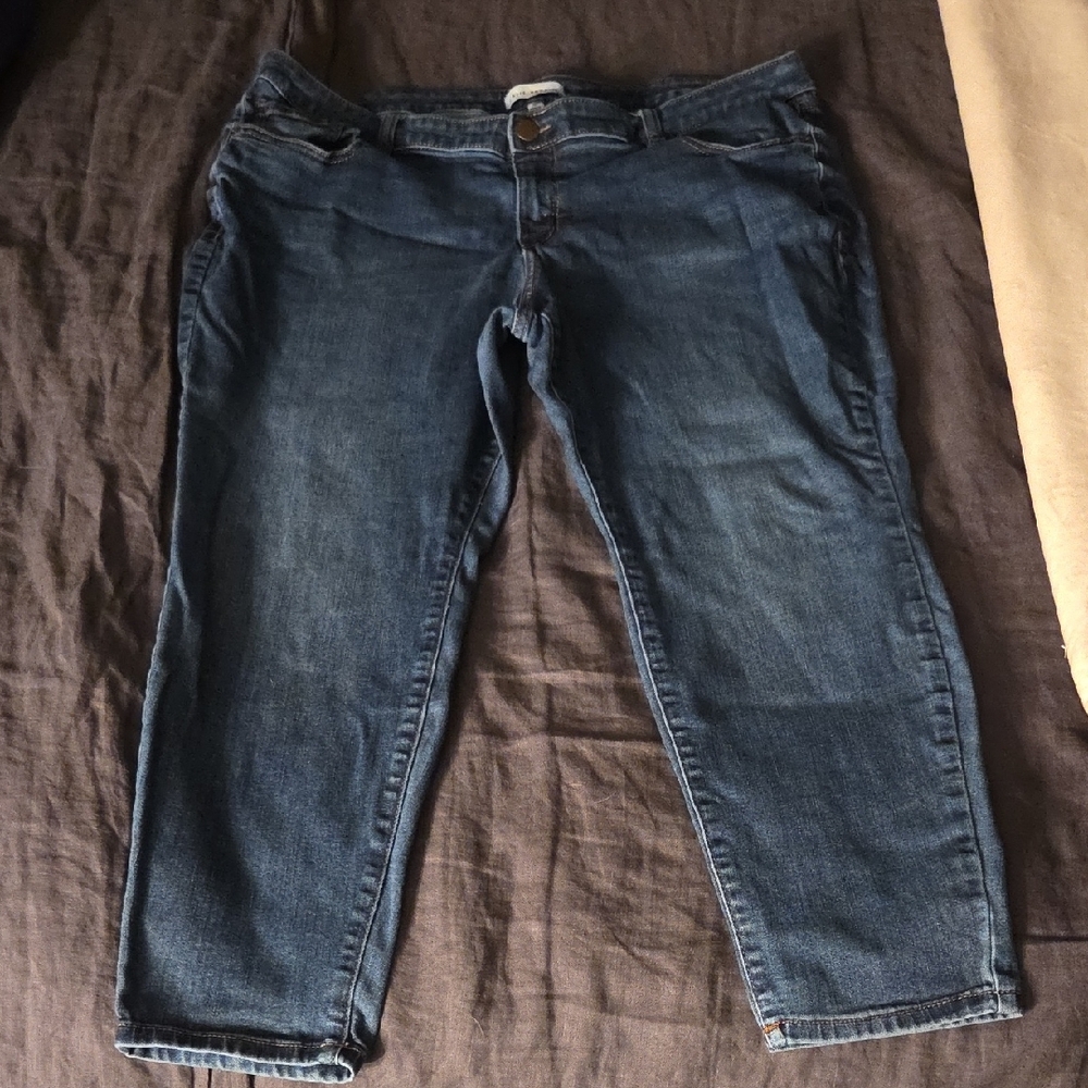 LANE BRYANT Women's Blue Jeans